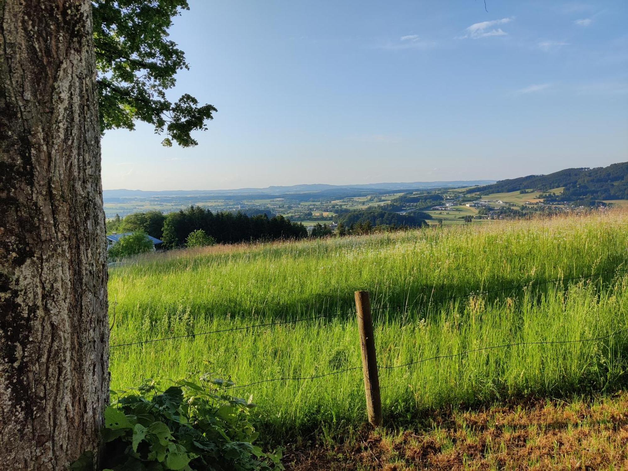Pension Holzapfel Sankt Georgen im Attergau Exterior foto
